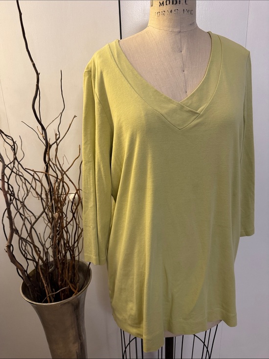 J. Jill Tops - J. Jill Soft V-Neck Light Green Tunic
